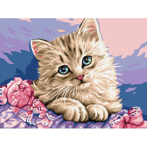 Painting by numbers 40x50 Blue-eyed kitten