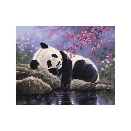 Painting by numbers 40x50 Panda resting