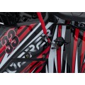 Pojazd Quad Spalinowy 125CC DISCOVERER Czerwony