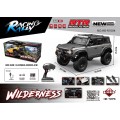 Auto R/C WILDERNESS 1:10 Szary