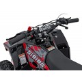 Pojazd Quad Spalinowy 49CC SIRIUS Czerwony