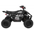 Pojazd Quad Spalinowy DESERT STORM LIFT Czarny