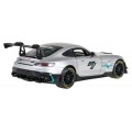 Autko R/C 1:14 Mercedes-AMG GT2 Szary RASTAR
