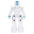 Wielofunkcyjny Robot MINIMAL 02