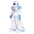 Wielofunkcyjny Robot SMART-BOT