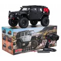 Auto R/C WILDERNESS RTR 1:10 Czarny