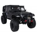 Auto R/C WILDERNESS RTR 1:10 Czarny
